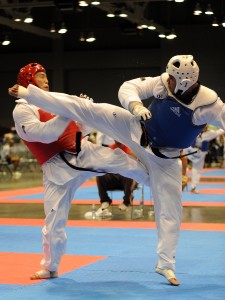 flickr_-_the_u.s._army_-_taekwondo_champion.jpg